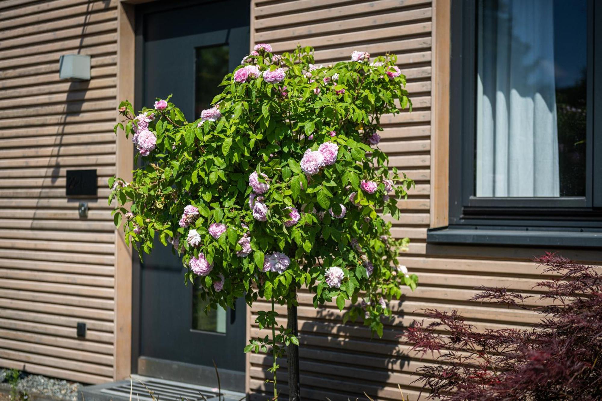 Deine Genuss-Auszeit Villa Asendorf Eksteriør bilde